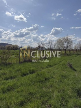 ����� ������� ������,�. ���������, ������ �����