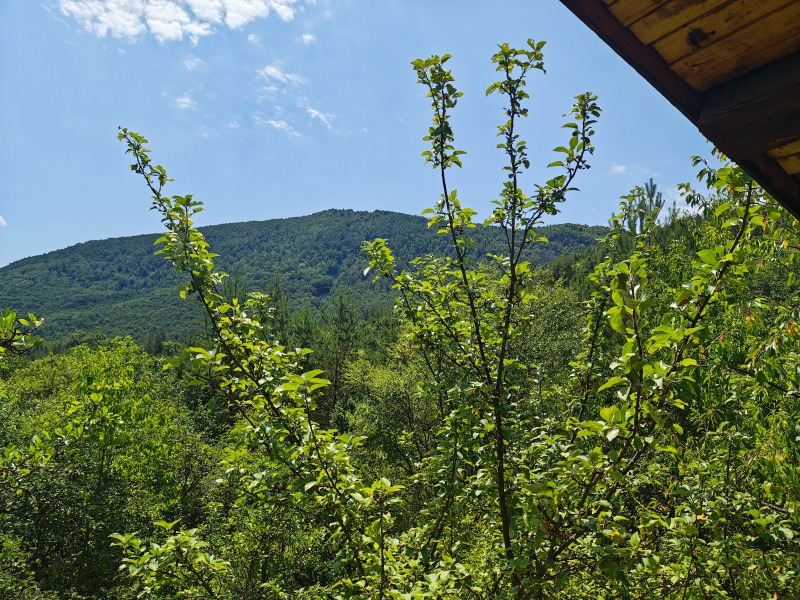 Til salg  Hus region Sofia , Tserovo , 47 kvm | 41059719 - billede [12]