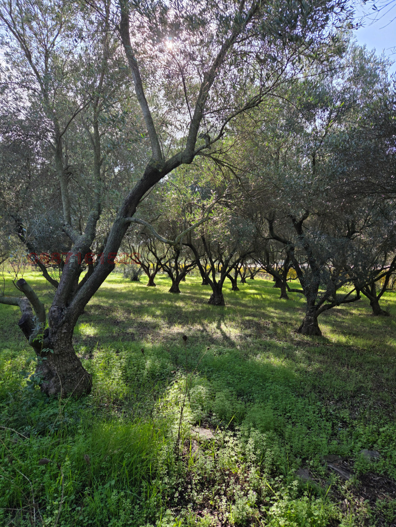 Продава КЪЩА, Извън страната, област Извън страната, снимка 2 - Къщи - 52759699