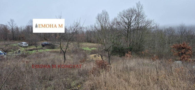 Продава КЪЩА, с. Осеново, област Варна, снимка 6 - Къщи - 53073866