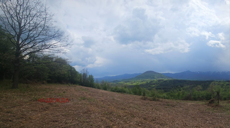 Продава  Парцел област Ловеч , гр. Априлци , 22000 кв.м | 24030081
