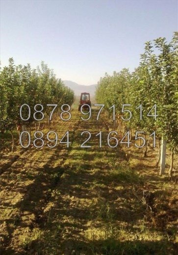 Продава  Земеделска земя област Пловдив , с. Катуница , 41 дка | 28689193 - изображение [2]