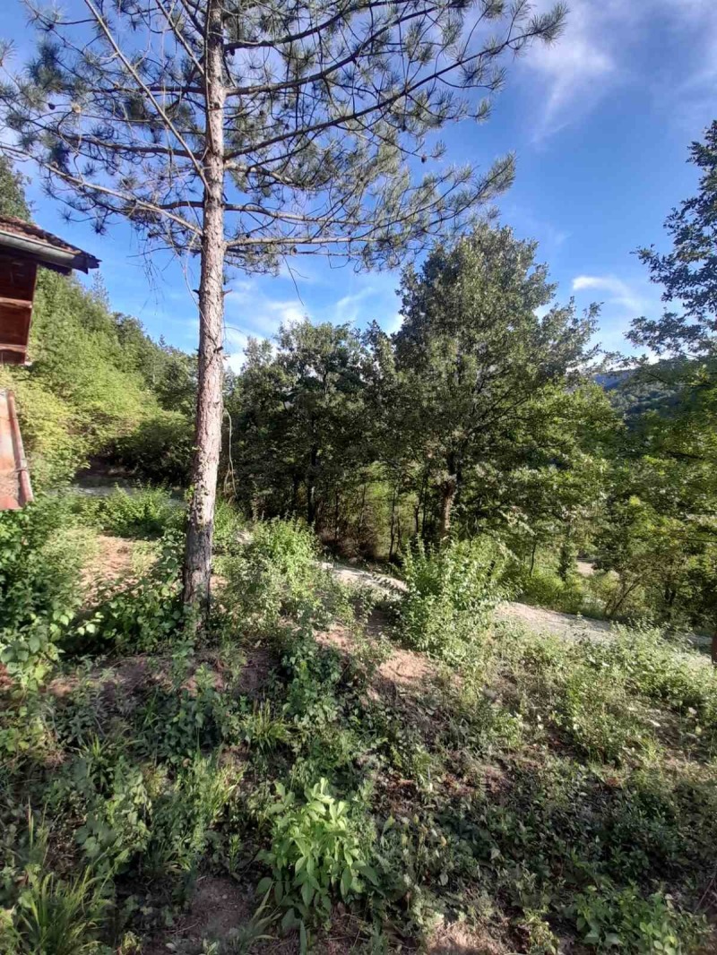 Продава КЪЩА, с. Искрец, област София област, снимка 2 - Къщи - 52874770