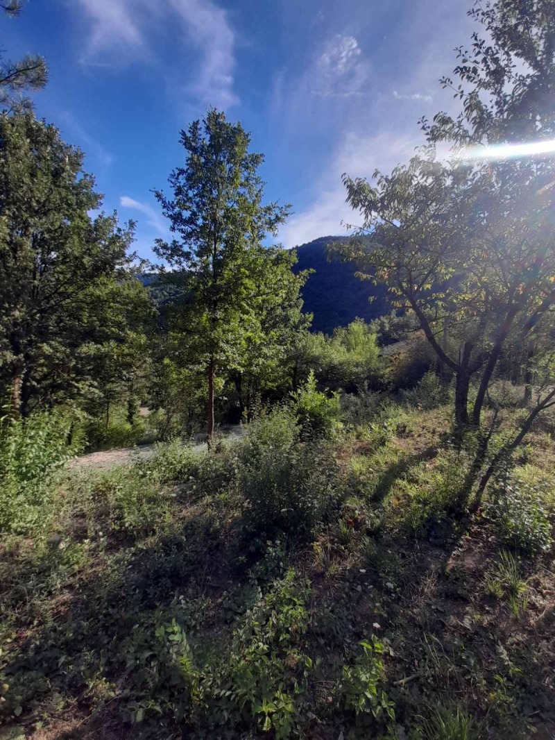 Продава КЪЩА, с. Искрец, област София област, снимка 3 - Къщи - 52874770