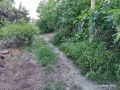 Продава ПАРЦЕЛ, с. Алеко Константиново, област Пазарджик, снимка 2