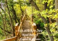 Продава 1-СТАЕН, област Бургас, гр. Обзор • 53250 € • 75799395 — Holmes.bg