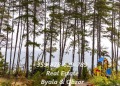Продава 1-СТАЕН, област Бургас, гр. Обзор • 53250 € • 75799395 — Holmes.bg