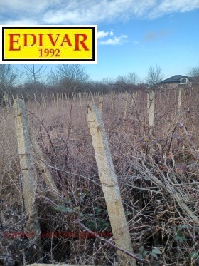 ������ ������� ������