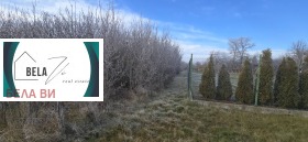 ������ ������� ������