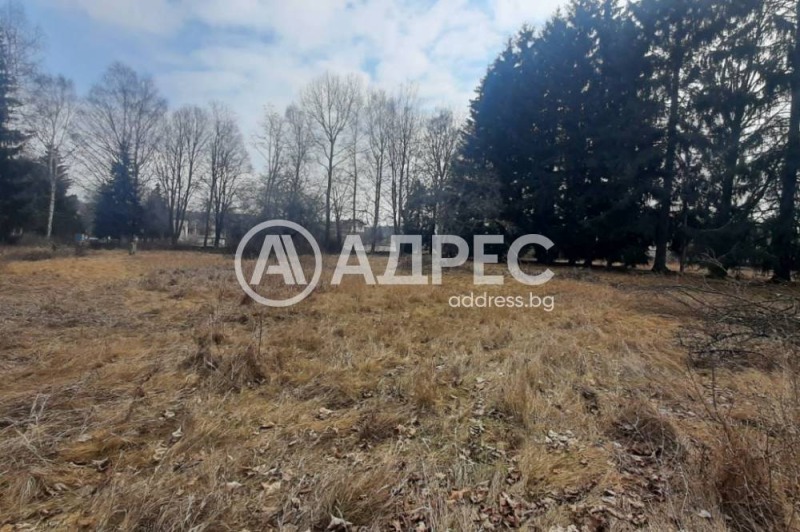 For Sale  Plot region Sofia , Gorni Okol , 10033 sq.m | 46479418 - image [11]