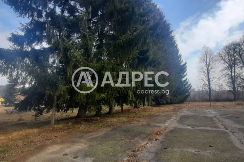 For Sale  Plot region Sofia , Gorni Okol , 10033 sq.m | 46479418 - image [12]