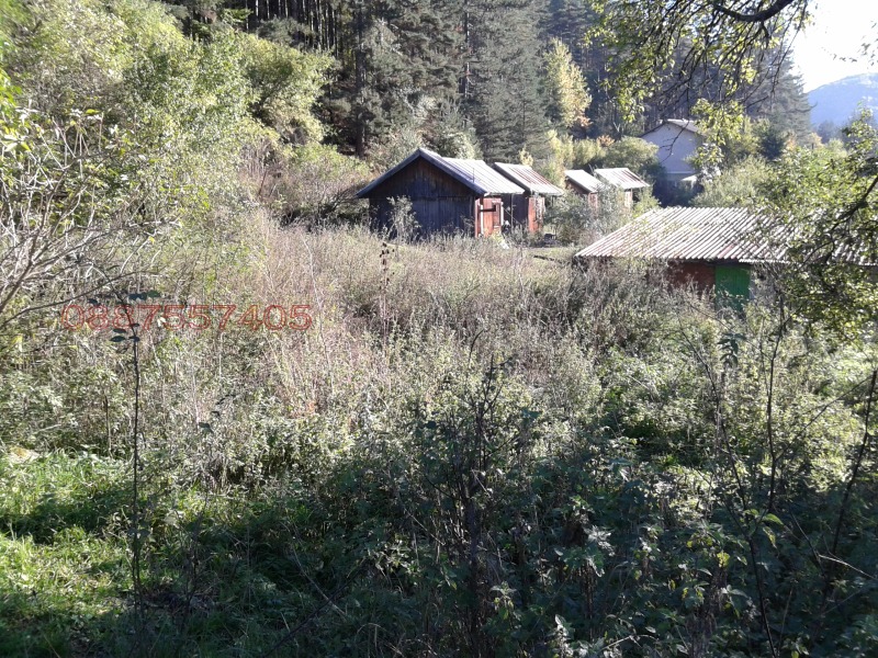 Продава ПАРЦЕЛ, с. Чуйпетлово, област Перник