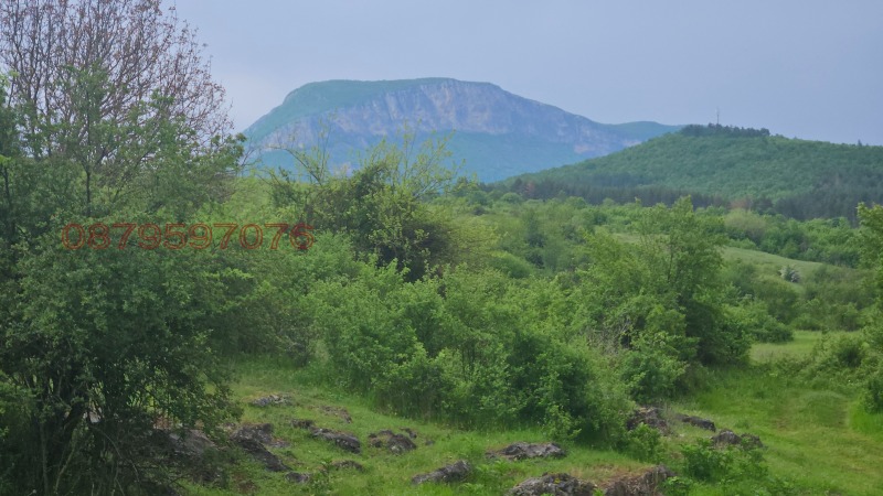 Продава ПАРЦЕЛ, гр. Вършец, област Монтана, снимка 3 - Парцели - 52787874