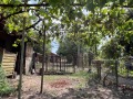 Продава КЪЩА, с. Полковник Свещарово, област Добрич, снимка 2