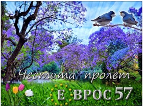 ����� ������� 2-�����,���� �������, ������