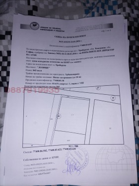 ������ ������� ������