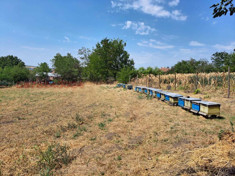 Продава КЪЩА, гр. Мизия, област Враца, снимка 4 - Къщи - 52854482