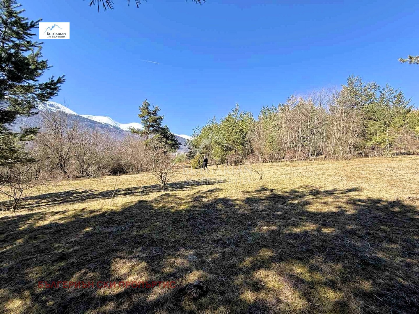 Продава ПАРЦЕЛ, гр. Разлог, област Благоевград, снимка 2 - Парцели - 49568548