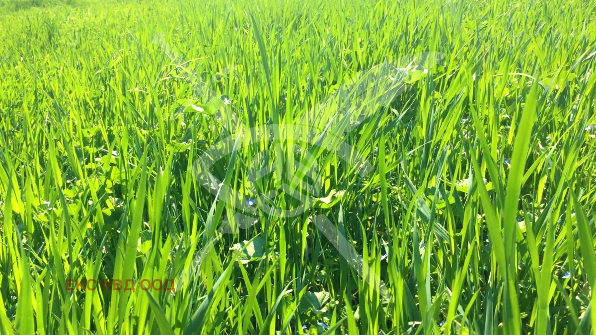 Продава ПАРЦЕЛ | Imot.bg — изображение 1