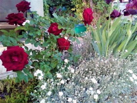 ������� ���� | Imot.bg � ����� ������ 17