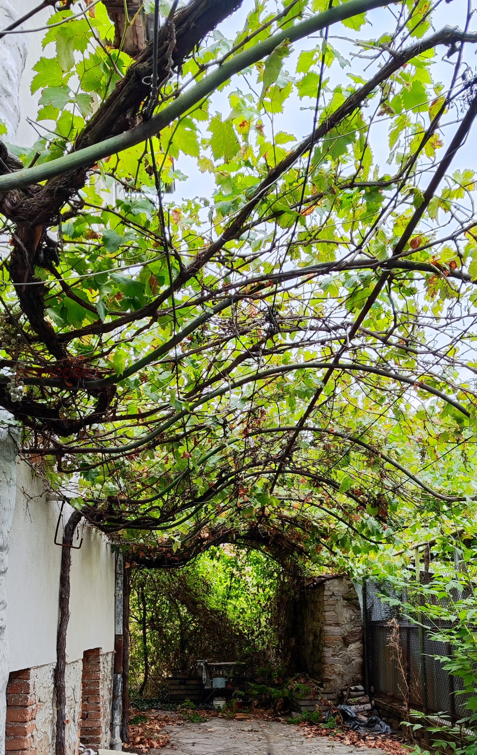 Продава КЪЩА | Imot.bg — изображение 3