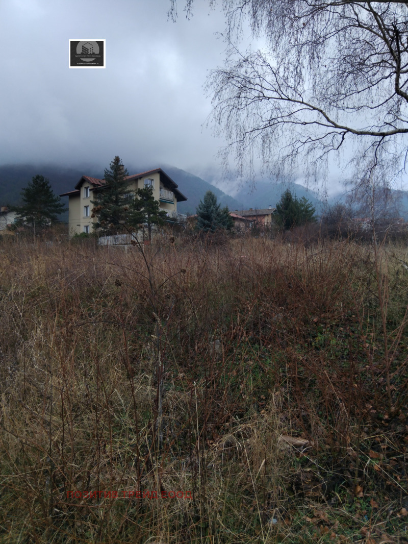 Продава ПАРЦЕЛ, гр. Сапарева баня, област Кюстендил, снимка 3 - Парцели - 53045930