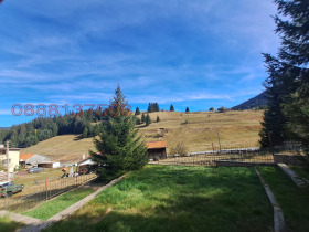 ������� ���� | Imot.bg � ����� ������ 8