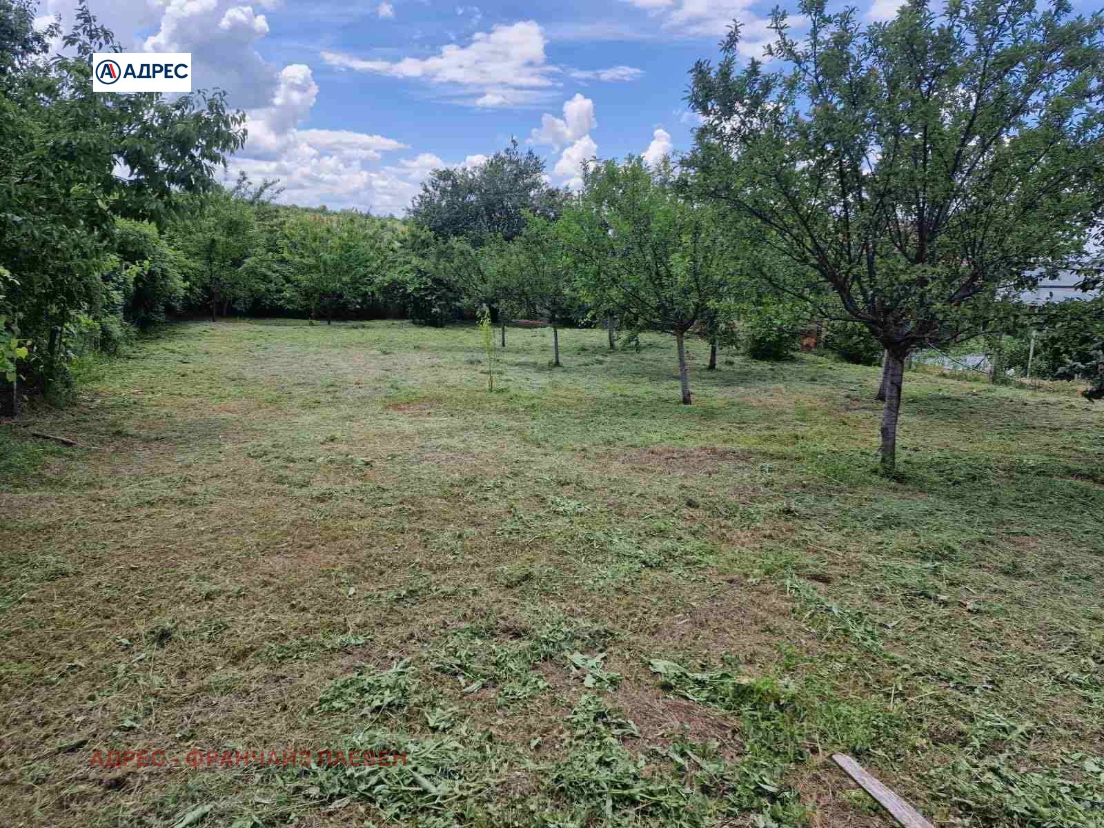 Продава КЪЩА, с. Тодорово, област Плевен, снимка 3 - Къщи - 55321018