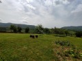 Продава КЪЩА, област Велико Търново, гр. Елена • 65000 € • 44759294 7