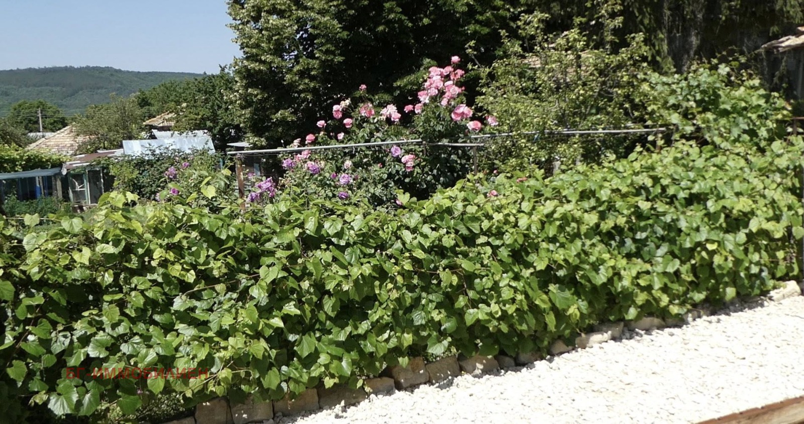 ������� ���� | Imot.bg � ����������� 12