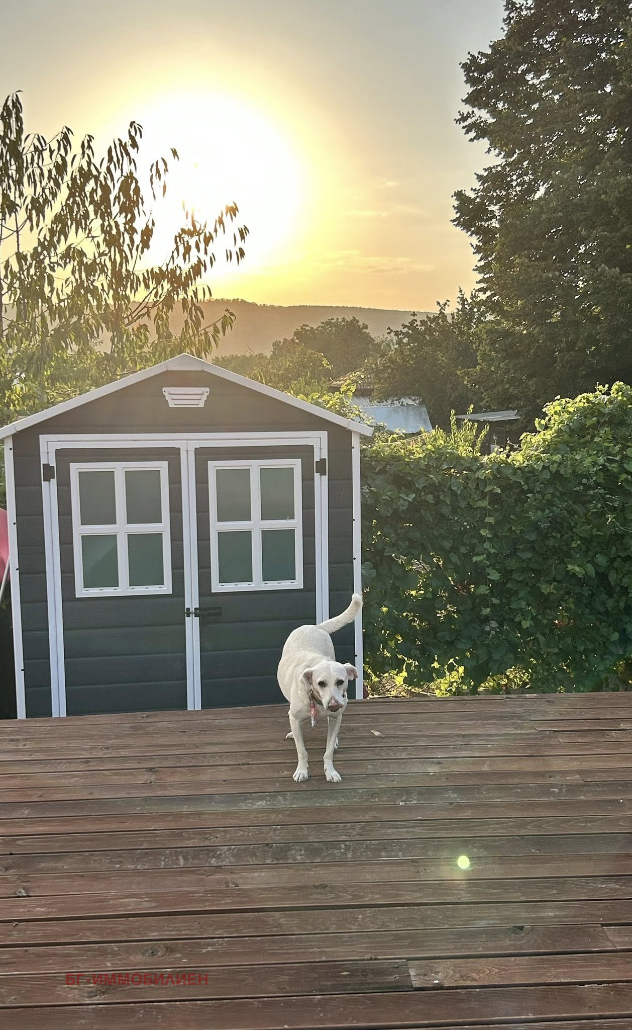 ������� ���� | Imot.bg � ����������� 8