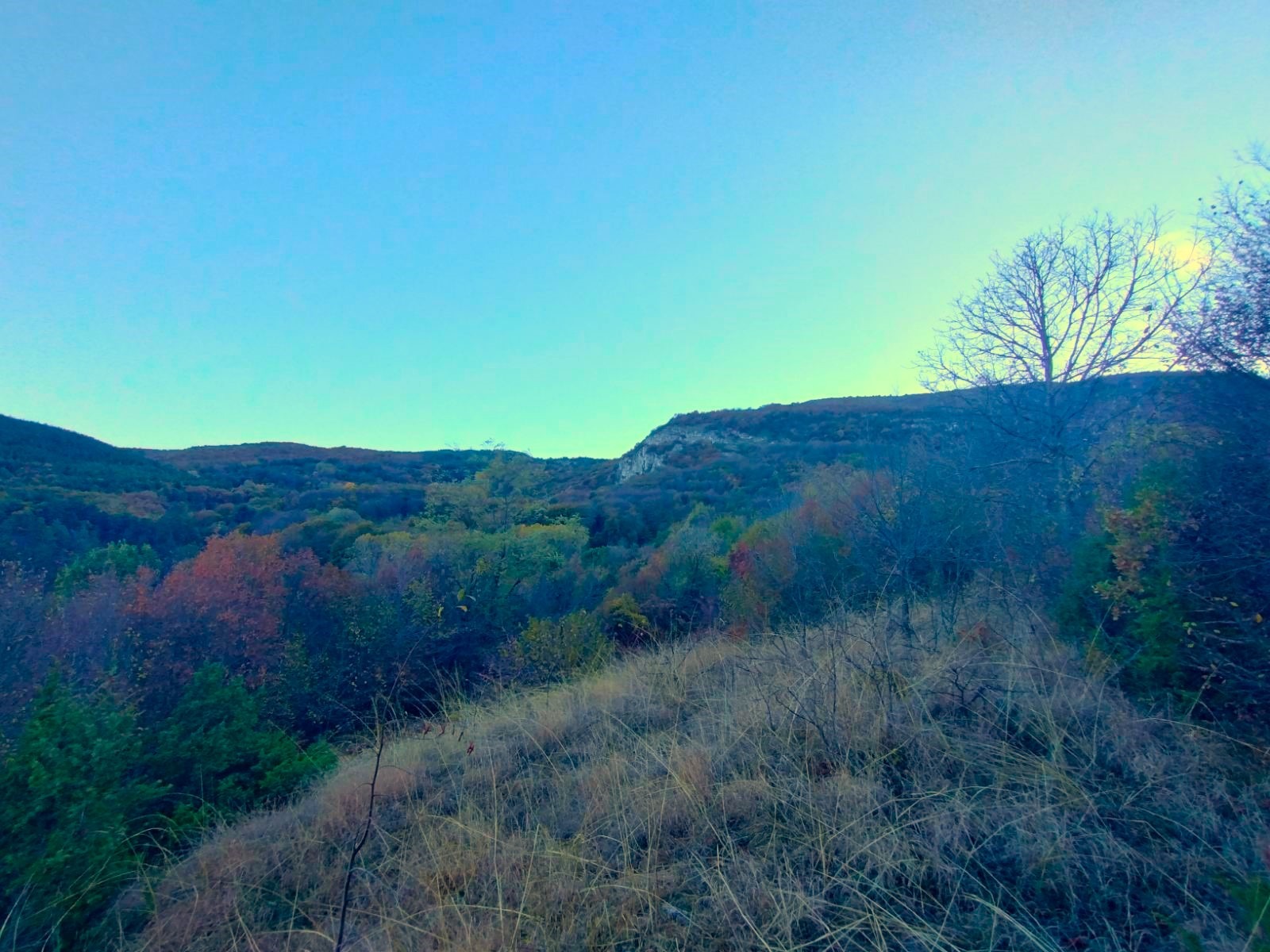 Продава ПАРЦЕЛ | Imot.bg — изображение 4