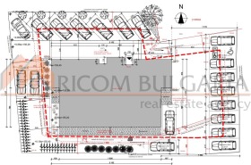 ����� ������� ����������,���� �����, ������