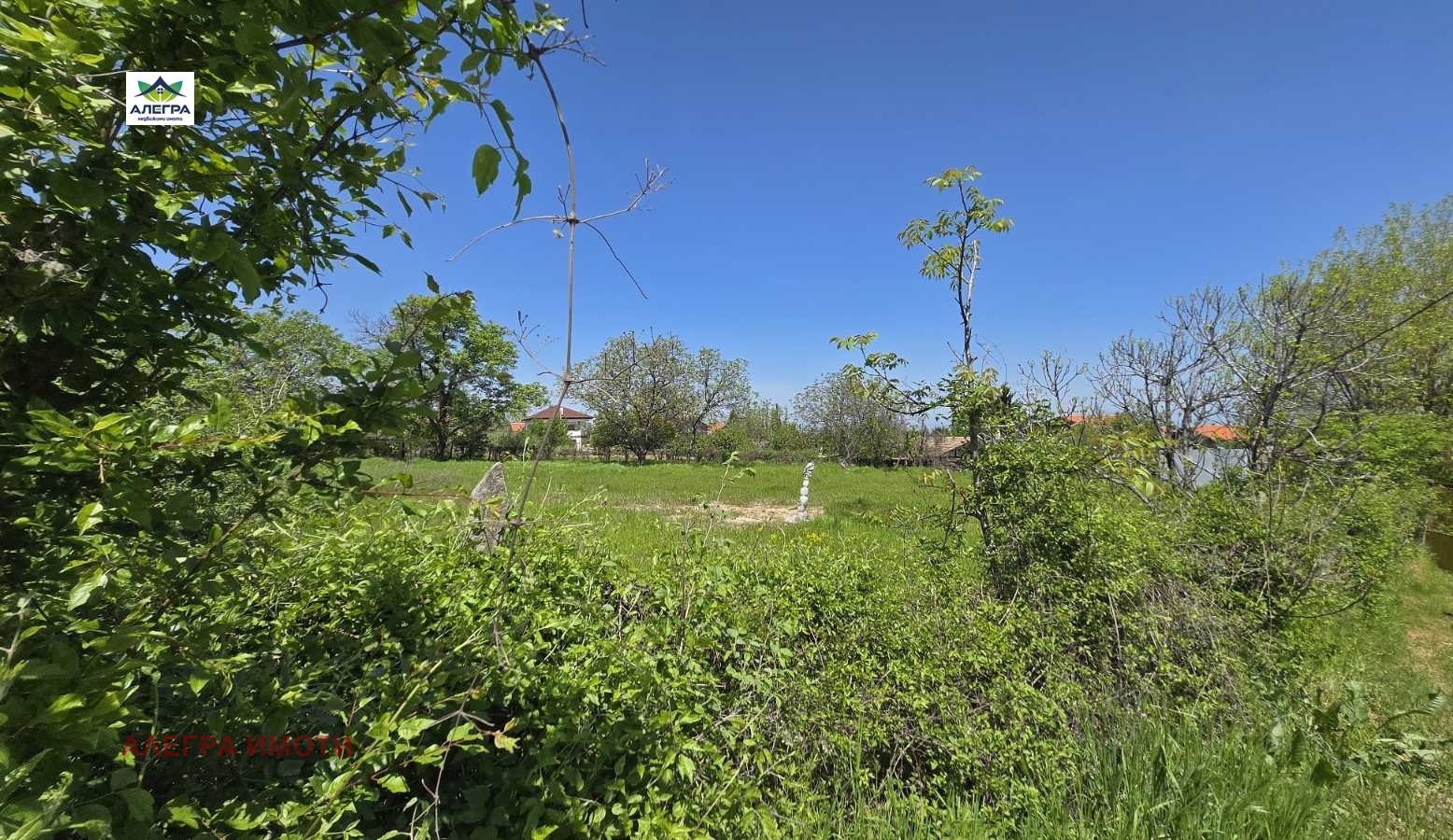 Продава ПАРЦЕЛ, с. Паталеница, област Пазарджик