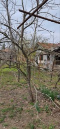 Продава КЪЩА, с. Конуш, област Хасково, снимка 6 - Къщи - 42340712