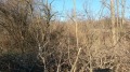 Продава  Парцел област Варна , с. Щипско , 1042 кв.м | 10196371 - изображение [3]