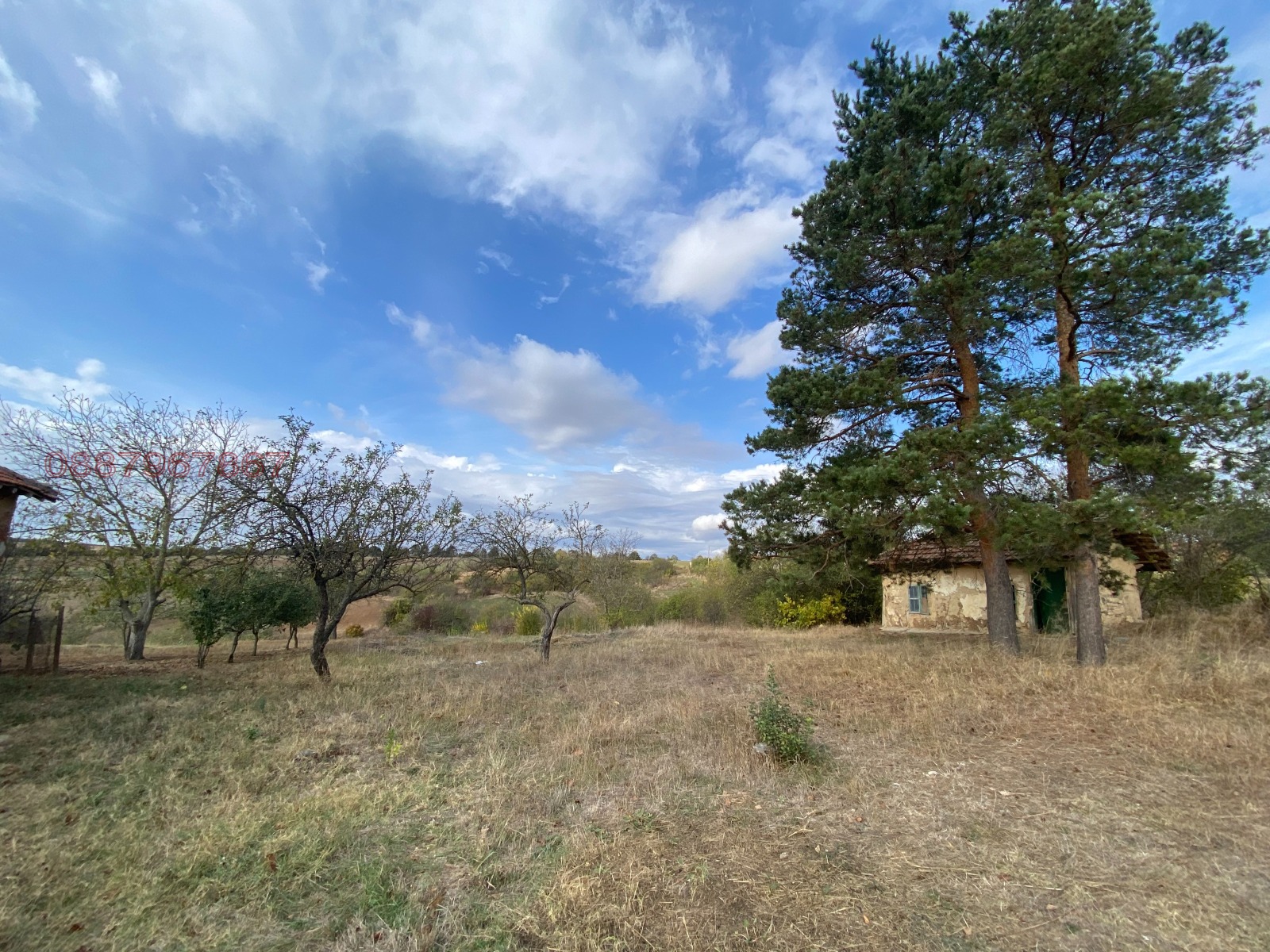 Продава КЪЩА, с. Малък Поровец, област Разград, снимка 5 - Къщи - 56238026