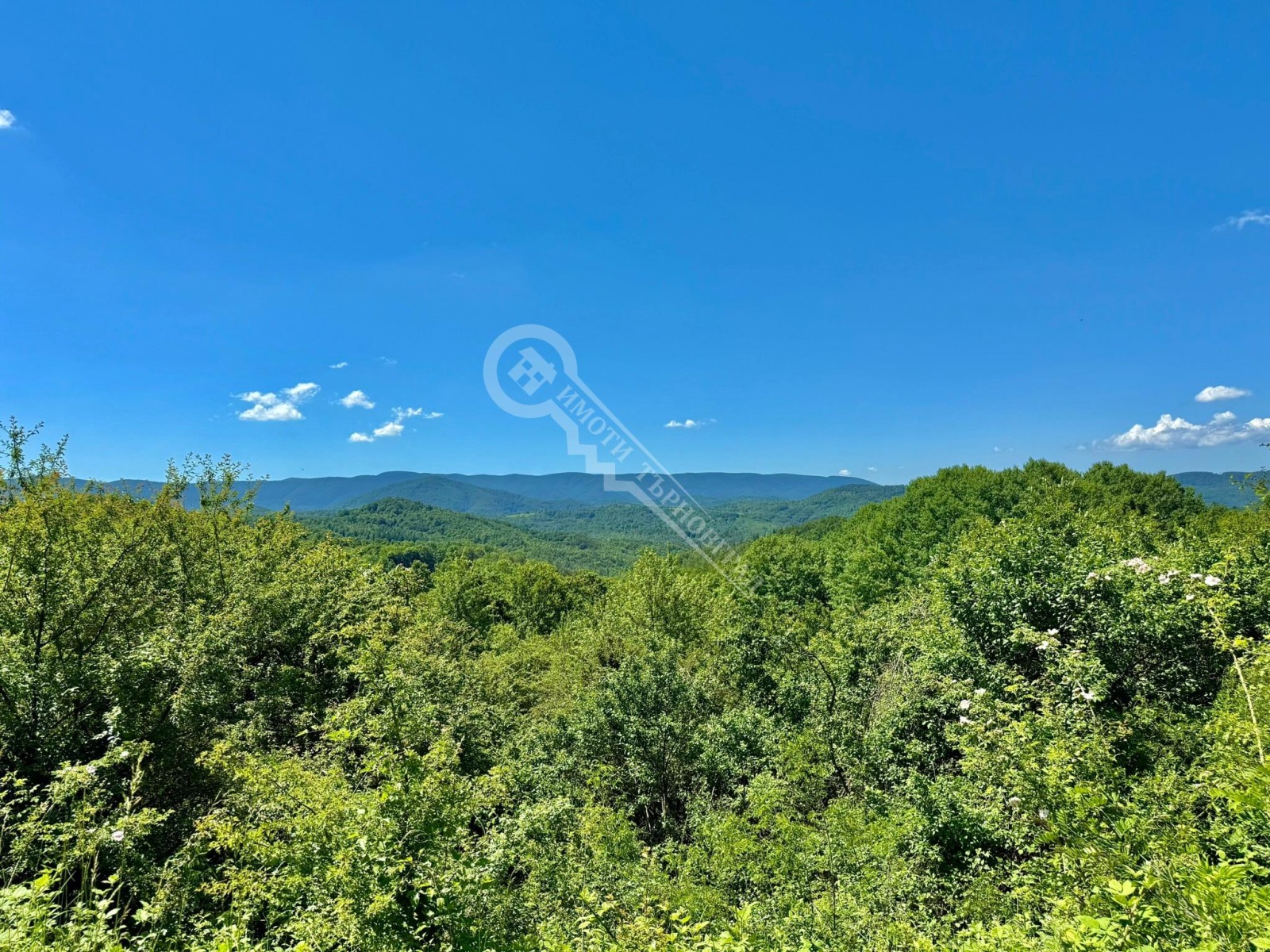 ������� ���� | Imot.bg � ����������� 11