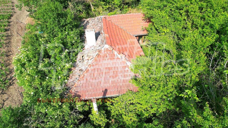 Na prodej  Dům oblast Varna , Vojvodino , 40 m2 | 42628212 - obraz [17]