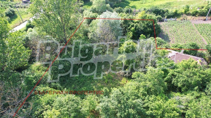 Na prodej  Dům oblast Varna , Vojvodino , 40 m2 | 42628212 - obraz [12]