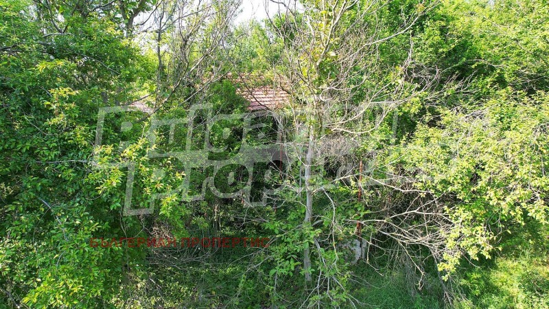 Na prodej  Dům oblast Varna , Vojvodino , 40 m2 | 42628212 - obraz [6]