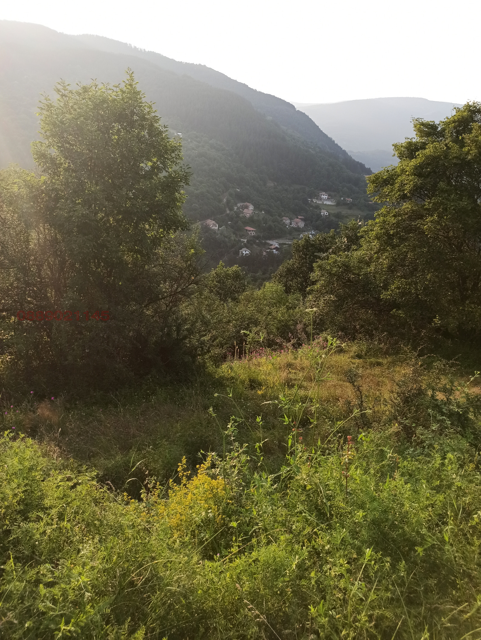 Продава ПАРЦЕЛ, с. Свидня, област София област, снимка 2 - Парцели - 53735996