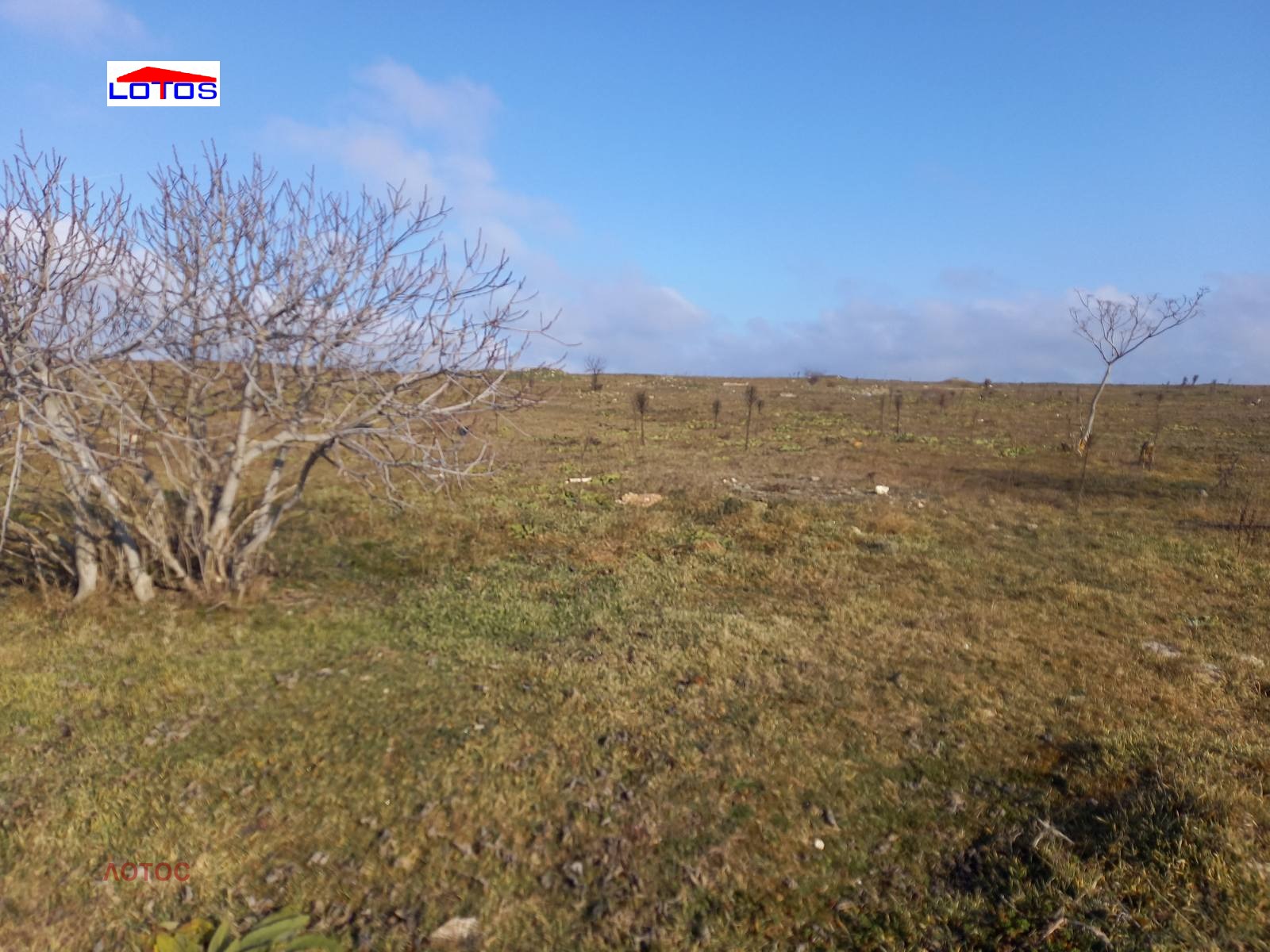 Продава ПАРЦЕЛ, гр. Балчик, област Добрич, снимка 2 - Парцели - 53095410