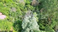 Продава КЪЩА, област Варна, с. Войводино • 15000 € • 94349731 — Holmes.bg