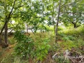 Продава  Парцел област Варна , с. Страшимирово , 700 кв.м | 87307968 - изображение [4]