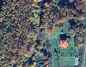 ����� ������� ������,�. ������, ������ �����