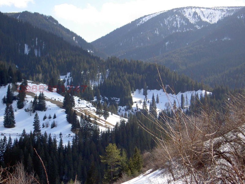 Продава ПАРЦЕЛ, с. Гела, област Смолян, снимка 3 - Парцели - 52996546