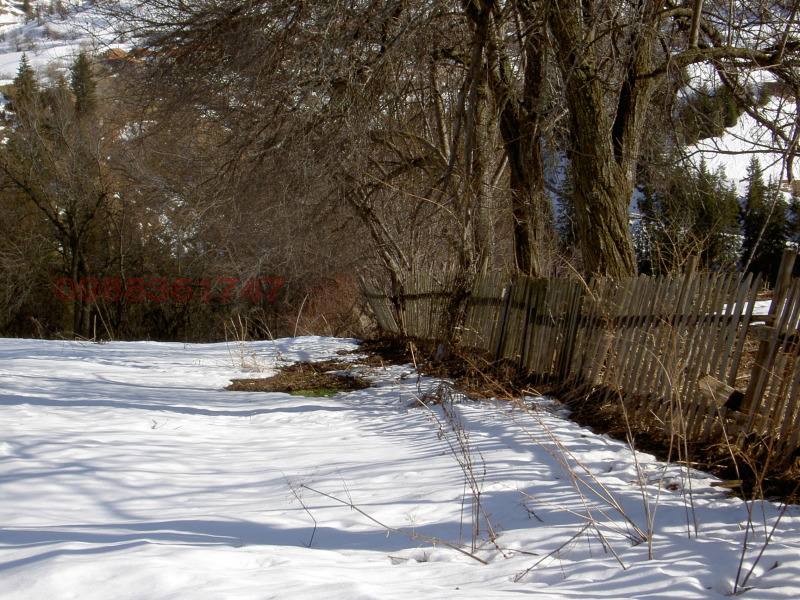 Продава ПАРЦЕЛ, с. Гела, област Смолян, снимка 2 - Парцели - 52996546