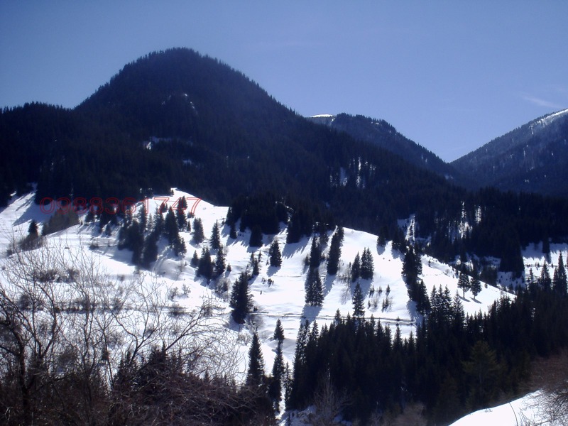 Продава ПАРЦЕЛ, с. Гела, област Смолян, снимка 5 - Парцели - 52996546