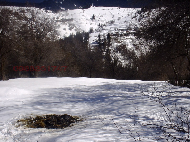 Продава ПАРЦЕЛ, с. Гела, област Смолян, снимка 4 - Парцели - 52996546